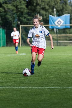 Bild 324 - wBJ Hamburger SV - Holstein Kiel : Ergebnis: 2:0